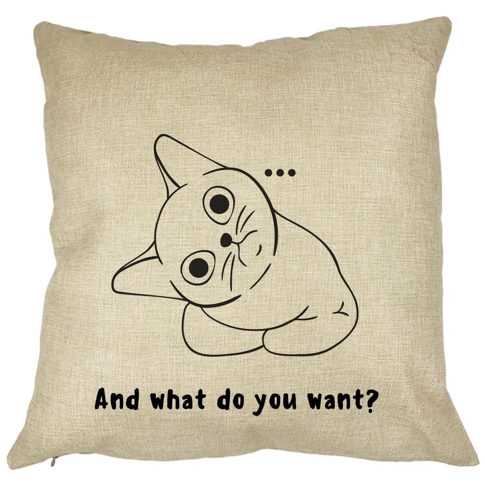 Perna Decorativa, And what do you want?, 40x40 cm, Husa Detasabila, Burduf 11 Perna Decorativa