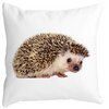 Perna Decorativa Arici, 40x40 cm, Alba, Mata, Husa Detasabila, Burduf 4 Perna Decorativa Arici