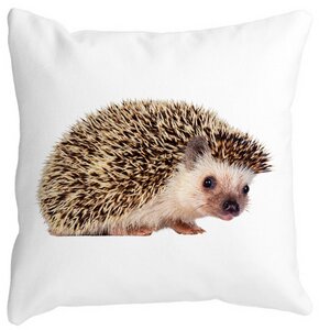 Perna Decorativa Arici