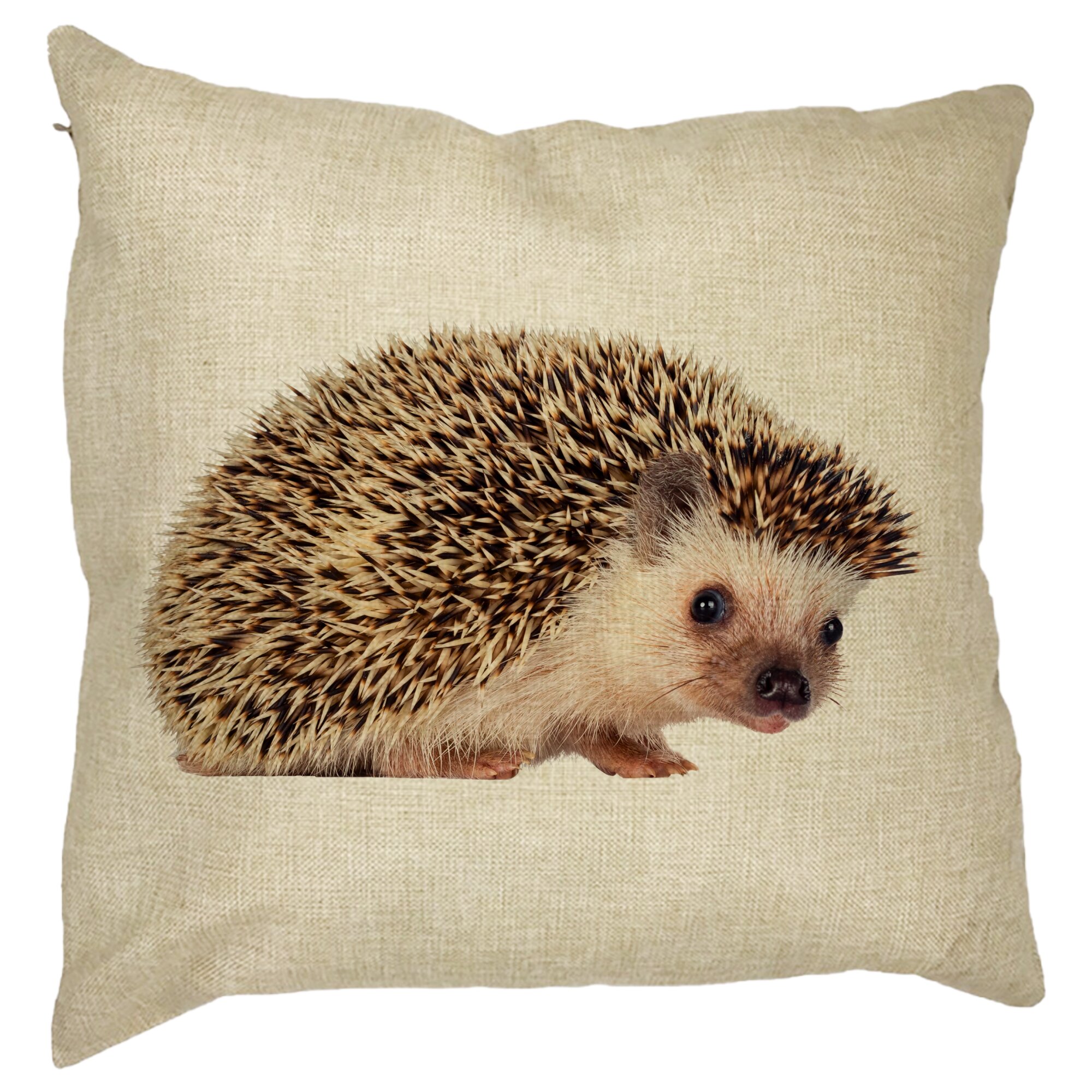 Perna Decorativa Arici, 40x40 cm, Husa Detasabila, Burduf 11 Perna Decorativa Arici
