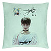 Perna Decorativa BTS Jungkook 2, 40x40 cm, Verde Menta, Husa Detasabila, Burduf 7 Perna Decorativa BTS Jungkook 2