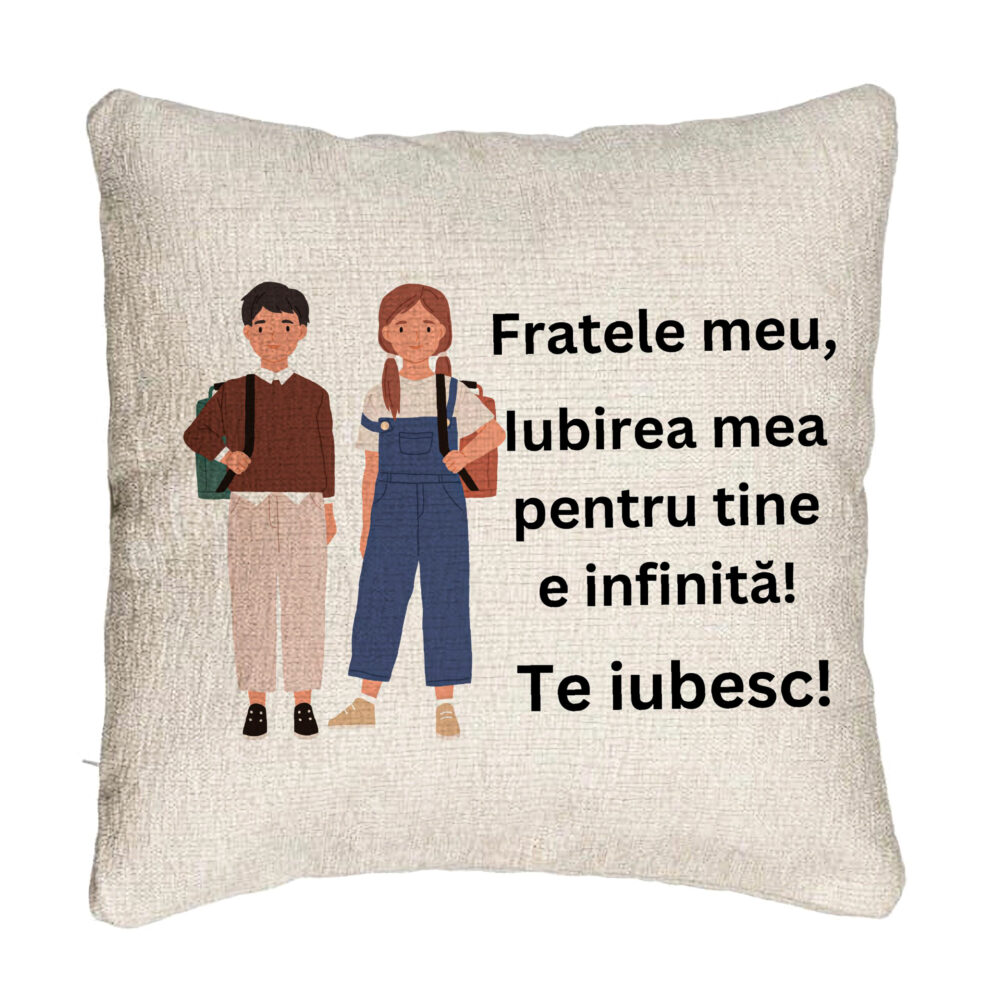 Perna Decorativa Canapea Fratele meu 1, 40x40 cm, Cu fermoar 5 Perna Decorativa Canapea Fratele meu 1