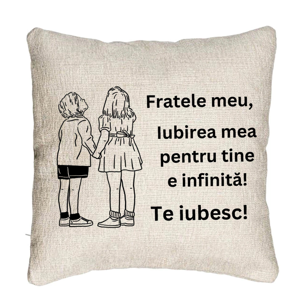 Perna Decorativa Canapea Fratele meu 4, 40x40 cm, Cu fermoar 5 Perna Decorativa Canapea Fratele meu 4