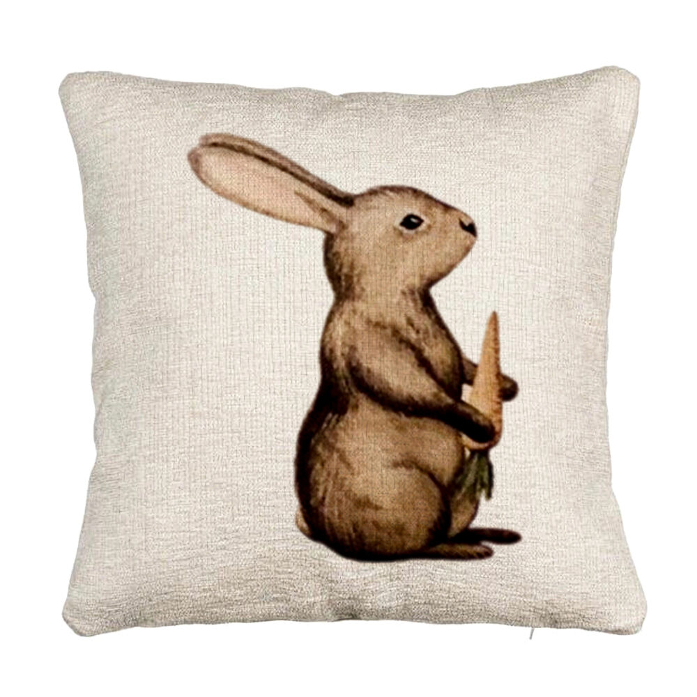 Perna Decorativa Canapea, Model Iepuras, 40x40 cm, Cu fermoar 5 Perna Decorativa Canapea