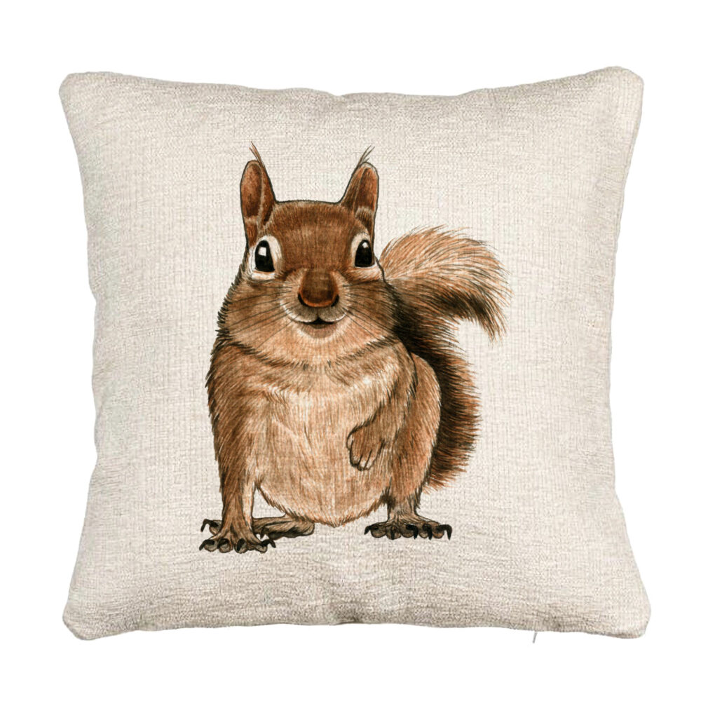 Perna Decorativa Canapea, Model Veverita, 40x40 cm, Cu fermoar 5 Perna Decorativa Canapea