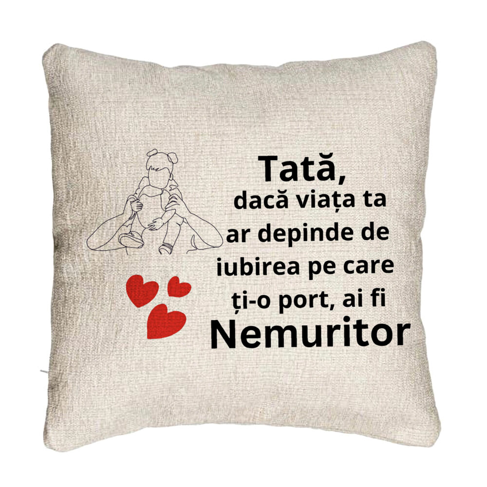 Perna Decorativa Canapea, Model pentru Tata 1, 40x40 cm, Cu fermoar 5 Perna Decorativa Canapea
