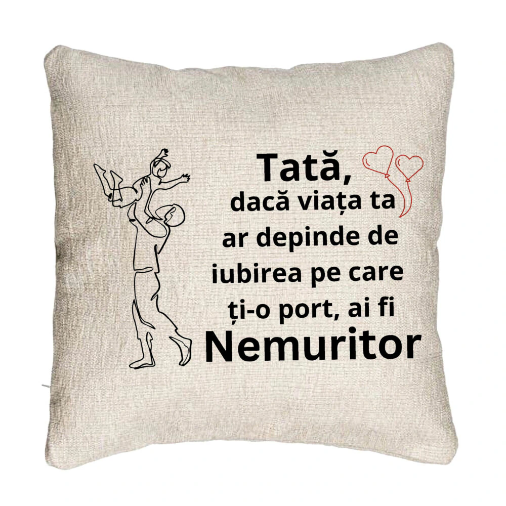 Perna Decorativa Canapea, Model pentru Tata 10, 40x40 cm, Cu fermoar 5 Perna Decorativa Canapea