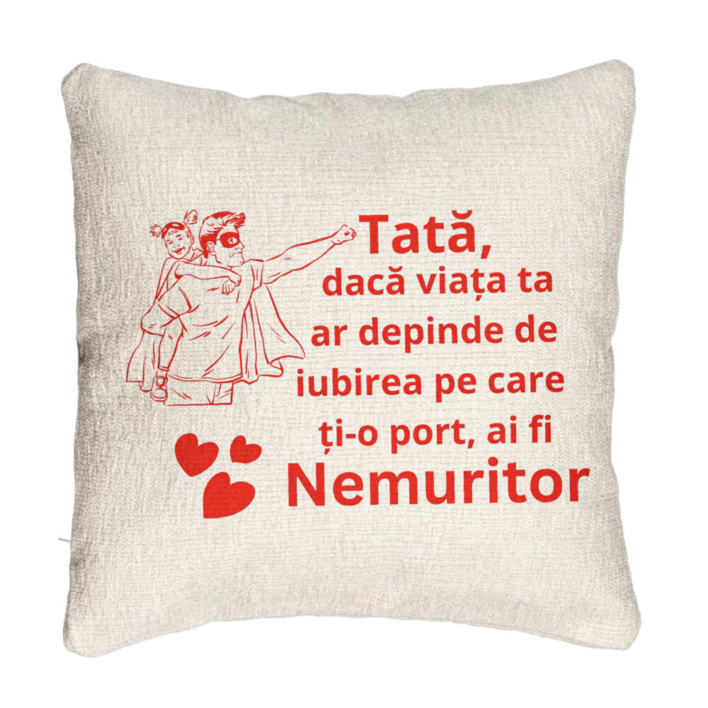 Perna Decorativa Canapea, Model pentru Tata 11, 40x40 cm, Cu fermoar 5 Perna Decorativa Canapea