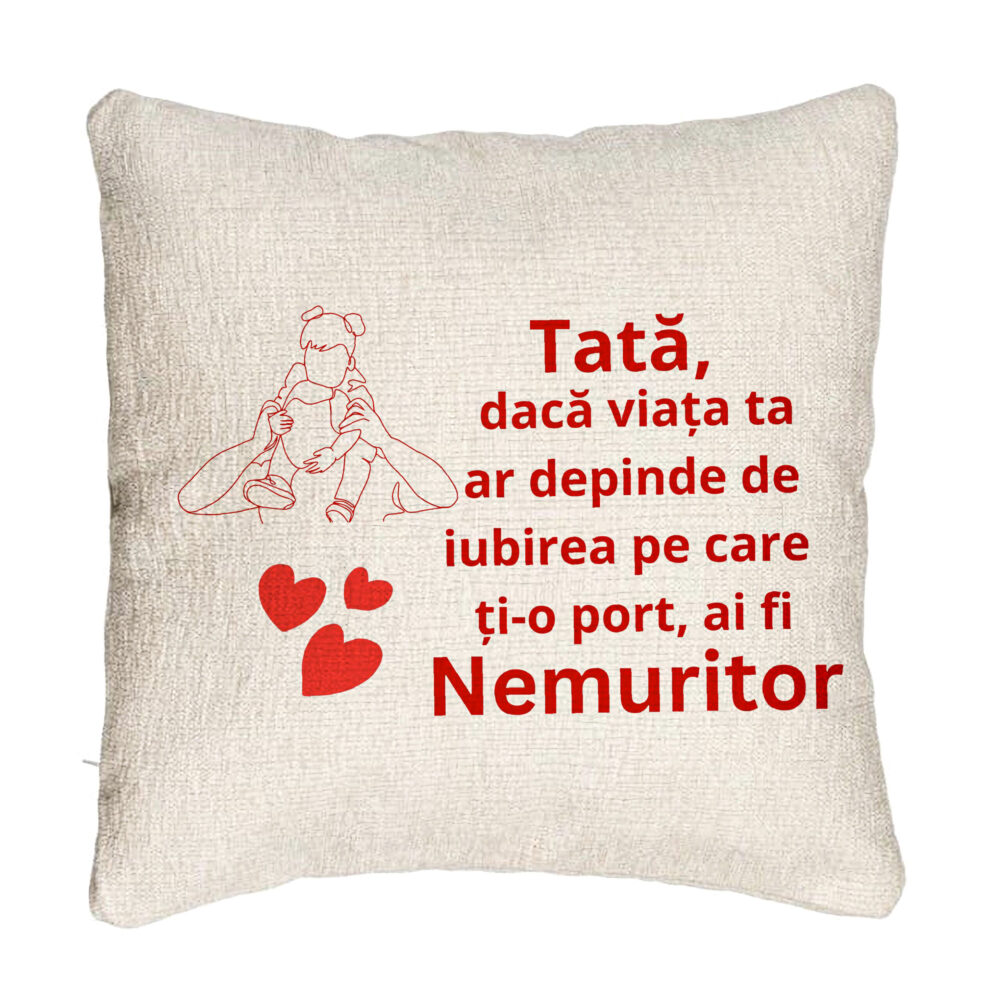 Perna Decorativa Canapea, Model pentru Tata 2, 40x40 cm, Cu fermoar 5 Perna Decorativa Canapea