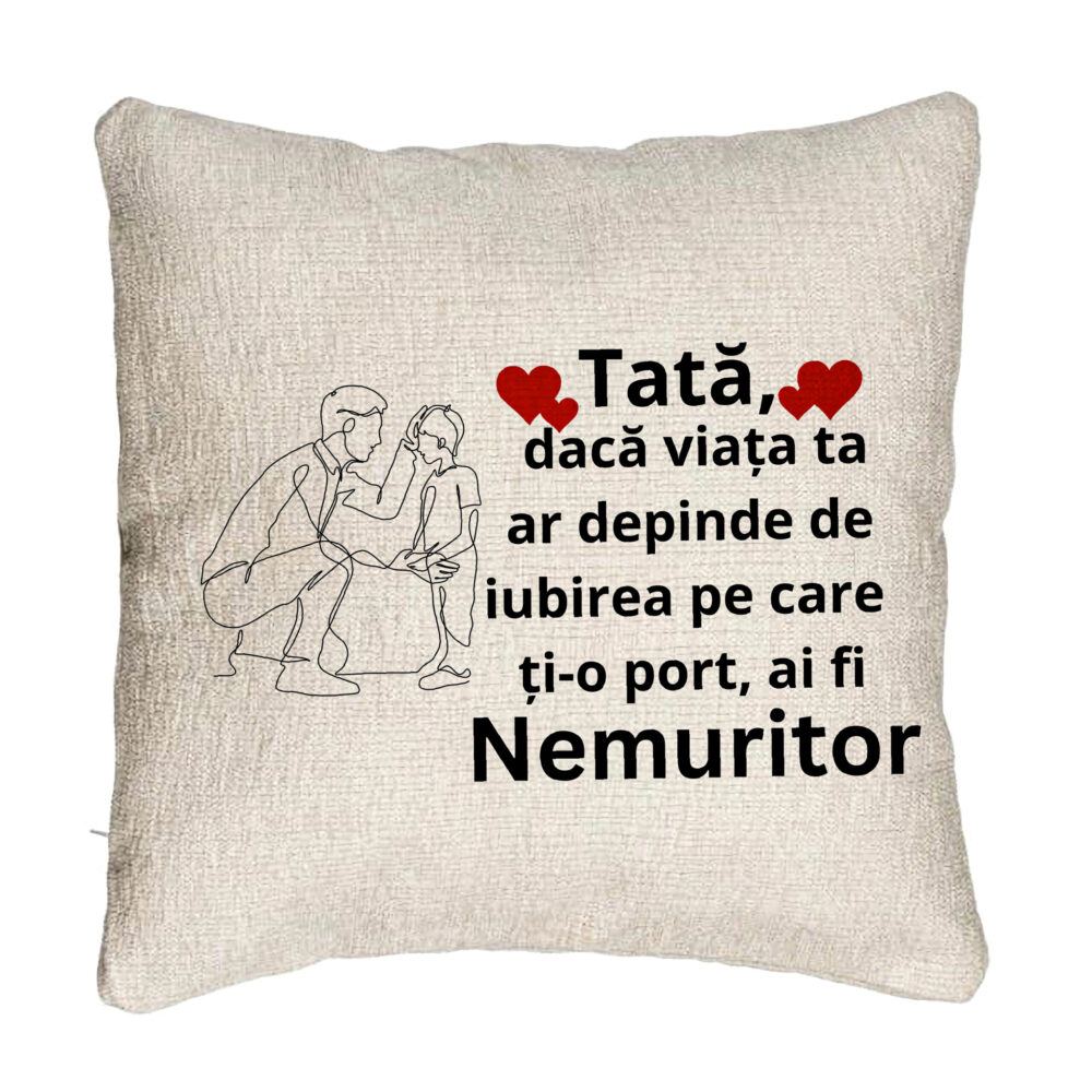 Perna Decorativa Canapea, Model pentru Tata 3, 40x40 cm, Cu fermoar 5 Perna Decorativa Canapea