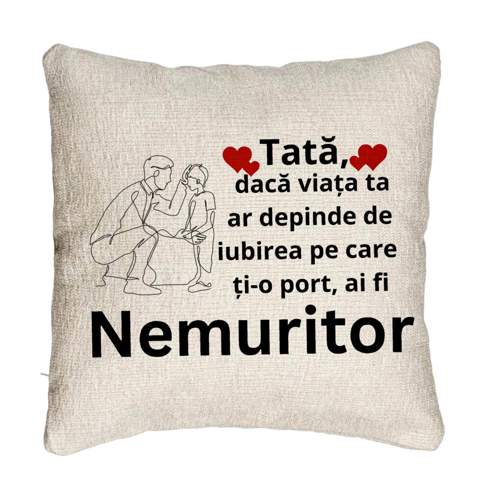 Perna Decorativa Canapea, Model pentru Tata 4, 40x40 cm, Cu fermoar 5 Perna Decorativa Canapea