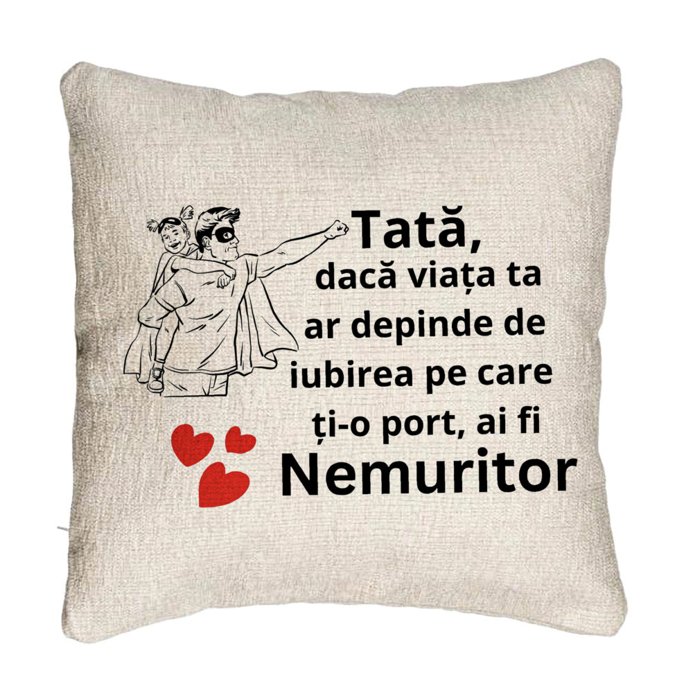 Perna Decorativa Canapea, Model pentru Tata 7, 40x40 cm, Cu fermoar 5 Perna Decorativa Canapea