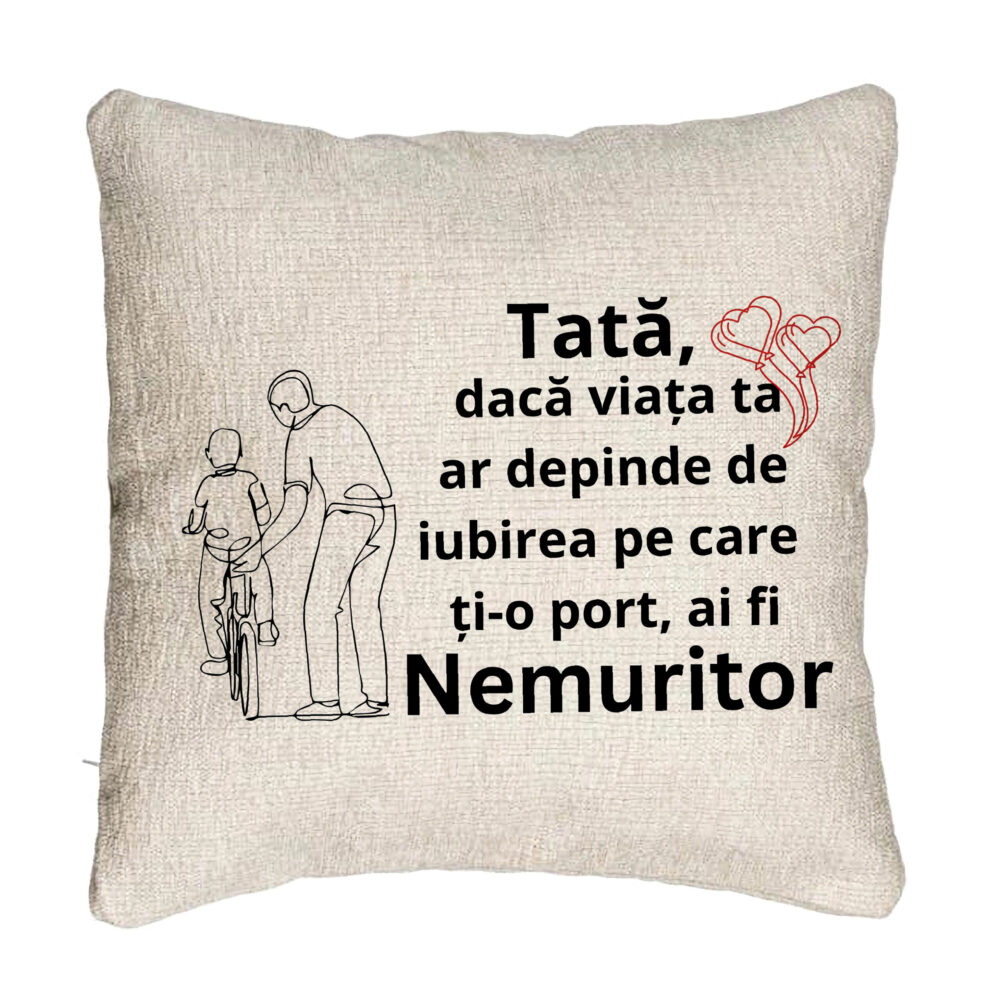 Perna Decorativa Canapea, Model pentru Tata 9, 40x40 cm, Cu fermoar 5 Perna Decorativa Canapea