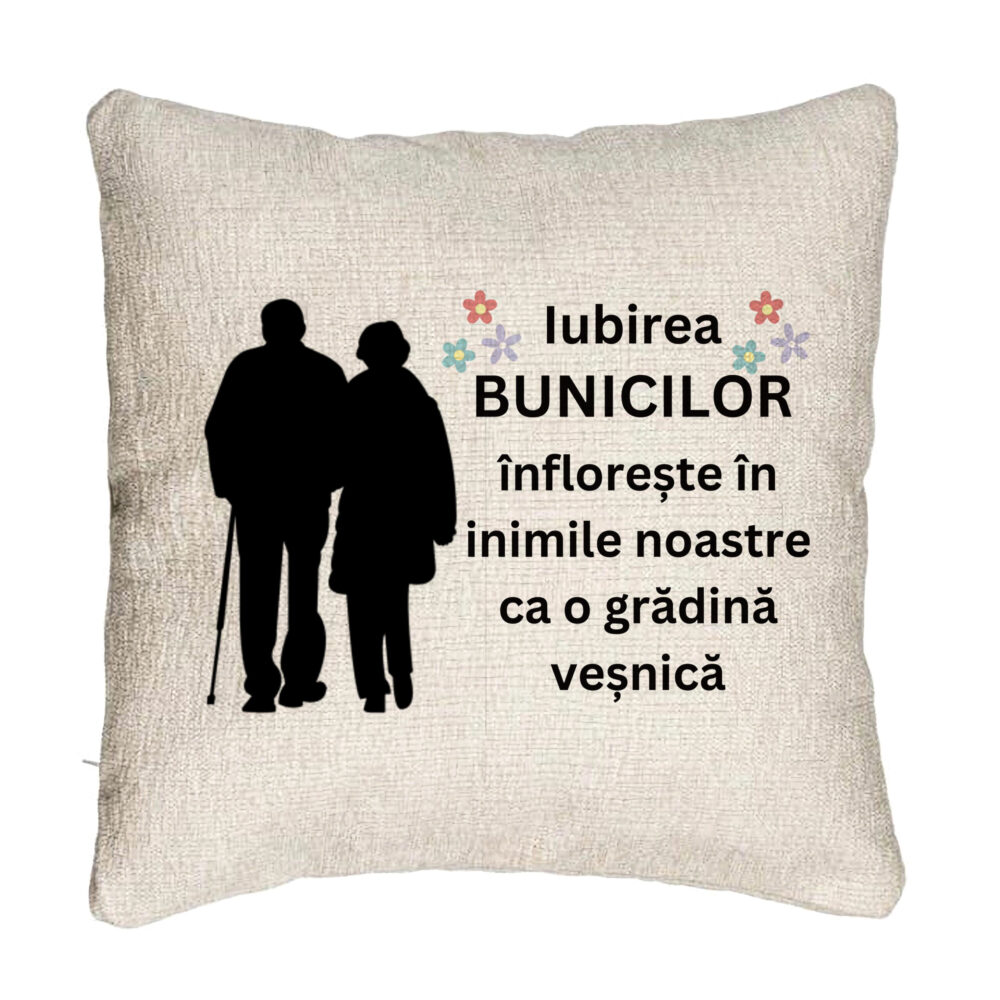 Perna Decorativa Canapea pentru Bunici 1, 40x40 cm, Cu fermoar 5 Perna Decorativa Canapea pentru Bunici 1