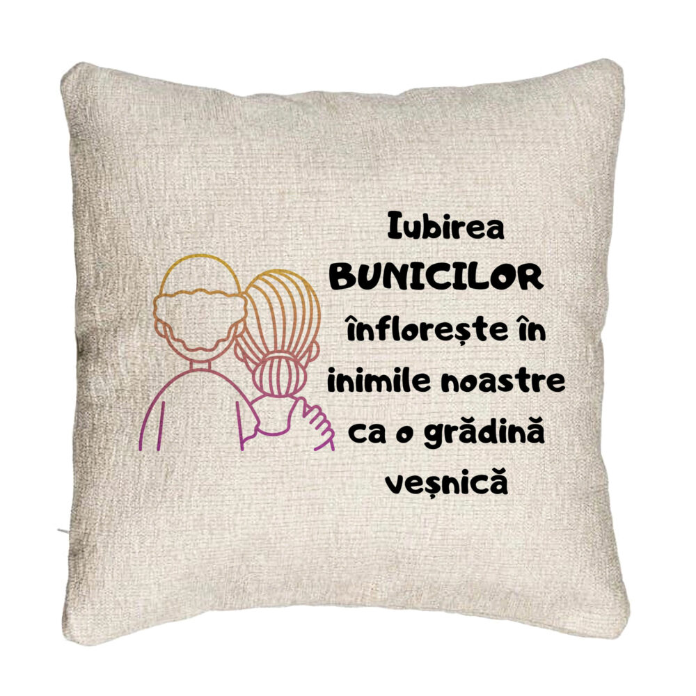 Perna Decorativa Canapea pentru Bunici 10, 40x40 cm, Cu fermoar 5 Perna Decorativa Canapea pentru Bunici 10