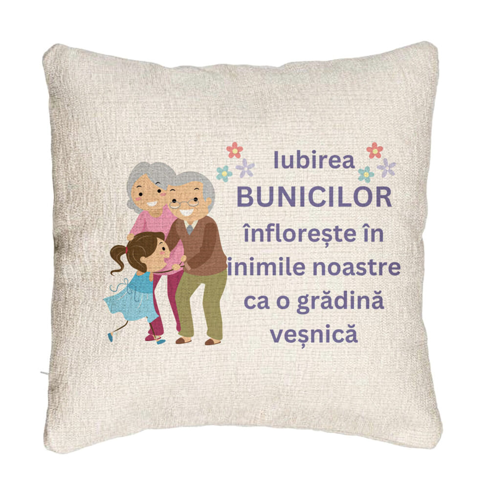Perna Decorativa Canapea pentru Bunici 2, 40x40 cm, Cu fermoar 5 Perna Decorativa Canapea pentru Bunici 2