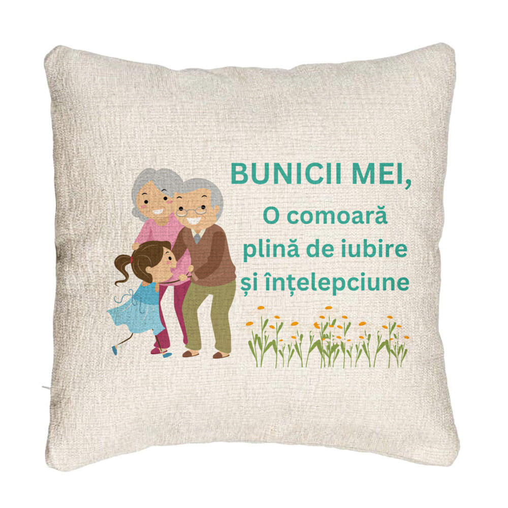 Perna Decorativa Canapea pentru Bunici 3, 40x40 cm, Cu fermoar 5 Perna Decorativa Canapea pentru Bunici 3