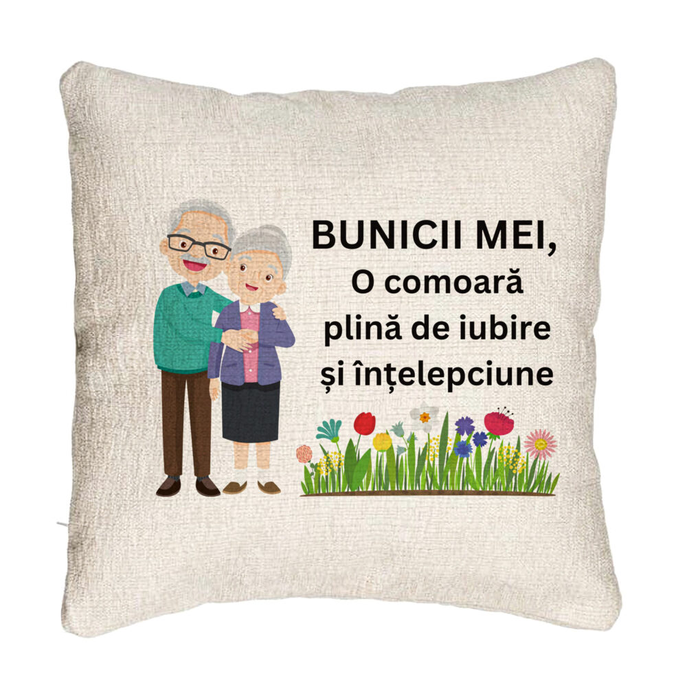 Perna Decorativa Canapea pentru Bunici 4, 40x40 cm, Cu fermoar 5 Perna Decorativa Canapea pentru Bunici 4