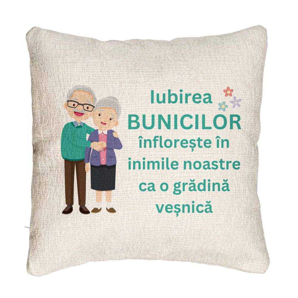 Perna Decorativa Canapea pentru Bunici 5, 40x40 cm, Cu fermoar 5 Perna Decorativa Canapea pentru Bunici 5