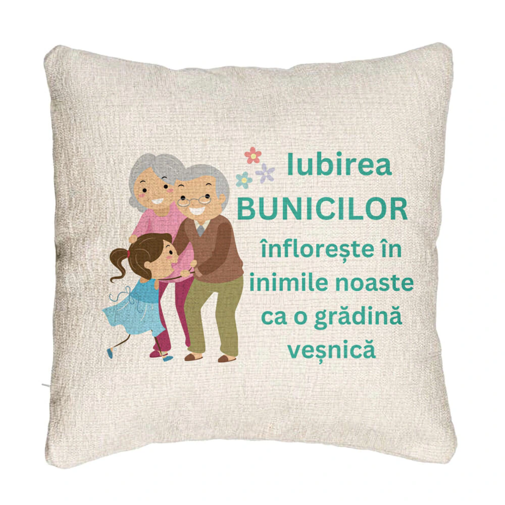 Perna Decorativa Canapea pentru Bunici 6, 40x40 cm, Cu fermoar 5 Perna Decorativa Canapea pentru Bunici 6