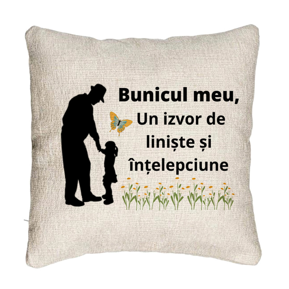 Perna Decorativa Canapea pentru Bunicul 5, 40x40 cm, Cu fermoar 5 Perna Decorativa Canapea pentru Bunicul 5