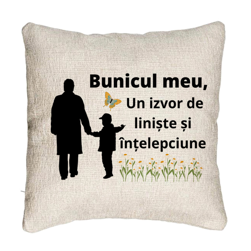 Perna Decorativa Canapea pentru Bunicul 6, 40x40 cm, Cu fermoar 5 Perna Decorativa Canapea pentru Bunicul 6