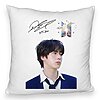 Perna Decorativa Fluffy BTS Jin 3, 40x40 cm, Husa Detasabila, Burduf 4 Perna Decorativa Fluffy BTS Jin 3