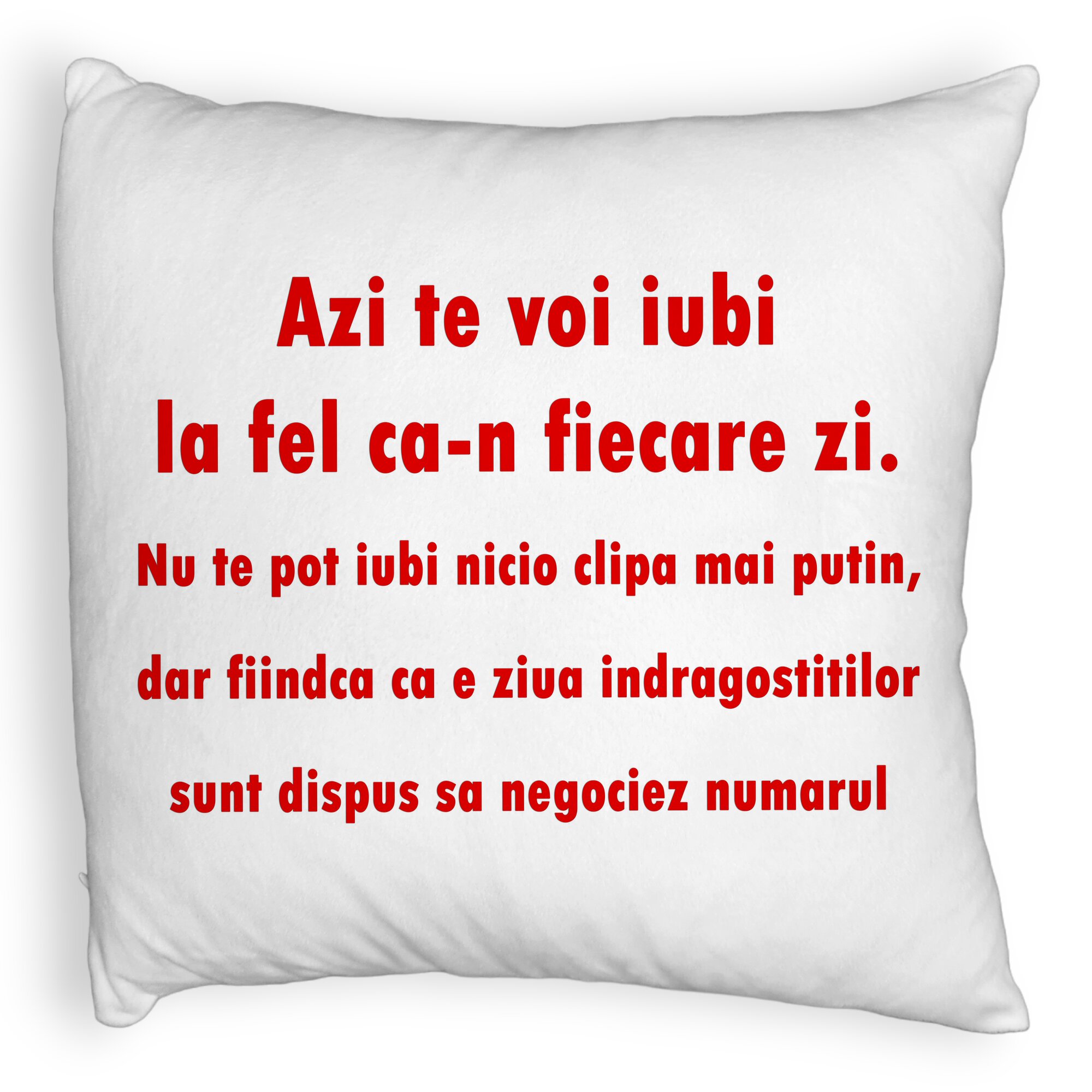 Perna Decorativa Fluffy, Model Ziua Indragostitilor, 40x40 cm, Alba, Husa Detasabila, Burduf 5 Perna Decorativa Fluffy