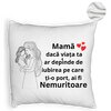 Perna Decorativa Fluffy, Model pentru Mama 4, 40x40 cm, Alba, Husa Detasabila, Burduf 8 Model pentru Mama 4