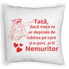 Perna Decorativa Fluffy, Model pentru Tata 11, 40x40 cm, Alba, Husa Detasabila, Burduf 7 Perna Decorativa Fluffy