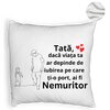 Perna Decorativa Fluffy, Model pentru Tata 5, 40x40 cm, Alba, Husa Detasabila, Burduf 8 Model pentru Tata 5