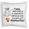 Perna Decorativa Fluffy, Model pentru Tata 7, 40x40 cm, Alba, Husa Detasabila, Burduf 7 Perna Decorativa Fluffy