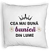 Perna Decorativa Fluffy, pentru Bunica 11, 40x40 cm, Alba, Husa Detasabila, Burduf 4 Perna Decorativa Fluffy