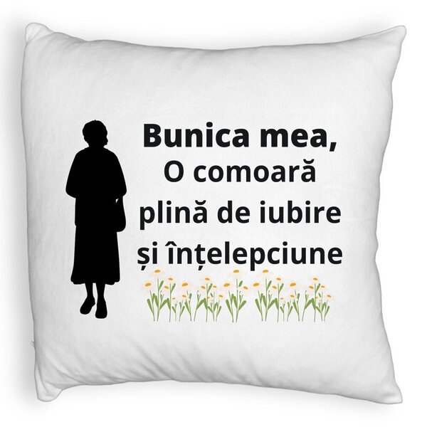 Perna Decorativa Fluffy, pentru Bunica 17, 40x40 cm, Alba, Husa Detasabila, Burduf 3 Perna Decorativa Fluffy