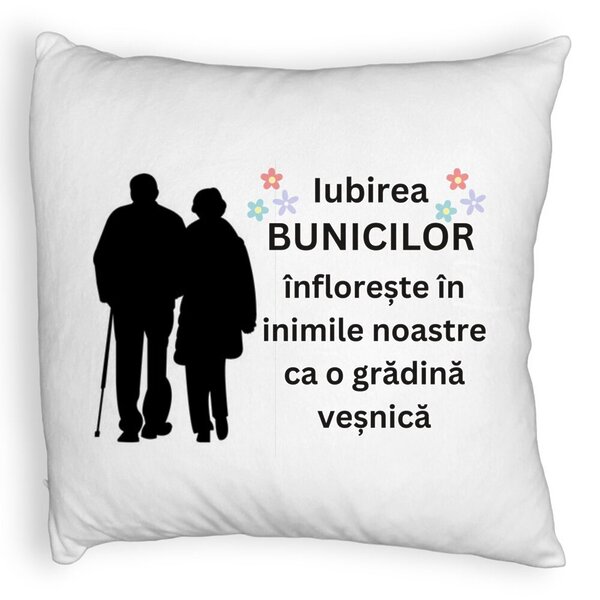 Perna Decorativa Fluffy, pentru Bunici 1, 40x40 cm, Alba, Husa Detasabila, Burduf 3 Perna Decorativa Fluffy