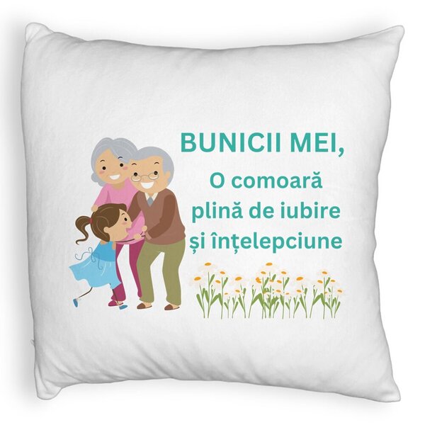 Perna Decorativa Fluffy, pentru Bunici 3, 40x40 cm, Alba, Husa Detasabila, Burduf 3 Perna Decorativa Fluffy