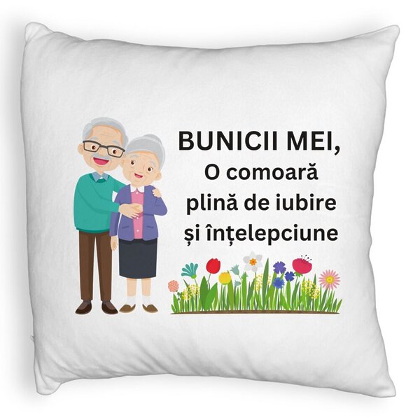 Perna Decorativa Fluffy, pentru Bunici 4, 40x40 cm, Alba, Husa Detasabila, Burduf 3 Perna Decorativa Fluffy