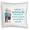 Perna Decorativa Fluffy, pentru Bunici 5, 40x40 cm, Alba, Husa Detasabila, Burduf 4 Perna Decorativa Fluffy