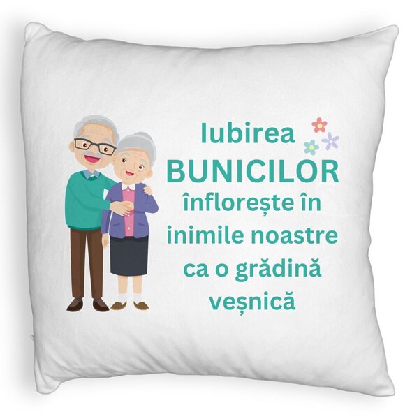 Perna Decorativa Fluffy, pentru Bunici 5, 40x40 cm, Alba, Husa Detasabila, Burduf 3 Perna Decorativa Fluffy