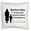 Perna Decorativa Fluffy, pentru Bunicul 19, 40x40 cm, Alba, Husa Detasabila, Burduf 4 Perna Decorativa Fluffy