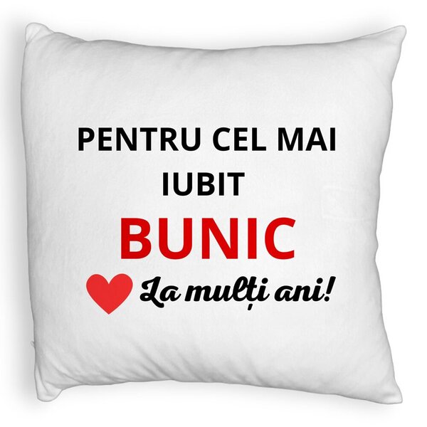 Perna Decorativa Fluffy, pentru Bunicul 3, 40x40 cm, Alba, Husa Detasabila, Burduf 3 Perna Decorativa Fluffy