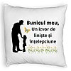 Perna Decorativa Fluffy, pentru Bunicul 5, 40x40 cm, Alba, Husa Detasabila, Burduf 4 Perna Decorativa Fluffy