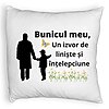 Perna Decorativa Fluffy, pentru Bunicul 6, 40x40 cm, Alba, Husa Detasabila, Burduf 4 Perna Decorativa Fluffy