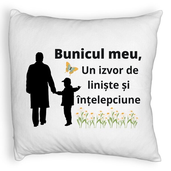 Perna Decorativa Fluffy, pentru Bunicul 6, 40x40 cm, Alba, Husa Detasabila, Burduf 3 Perna Decorativa Fluffy