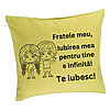 Perna Decorativa Fratele meu 2, 40x40 cm, Verde, Husa Detasabila, Burduf 7 Perna Decorativa Fratele meu 2