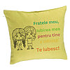 Perna Decorativa Fratele meu 3, 40x40 cm, Verde, Husa Detasabila, Burduf 7 Perna Decorativa Fratele meu 3