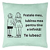 Perna Decorativa Fratele meu 4, 40x40 cm, Verde Menta, Husa Detasabila, Burduf 7 Perna Decorativa Fratele meu 4