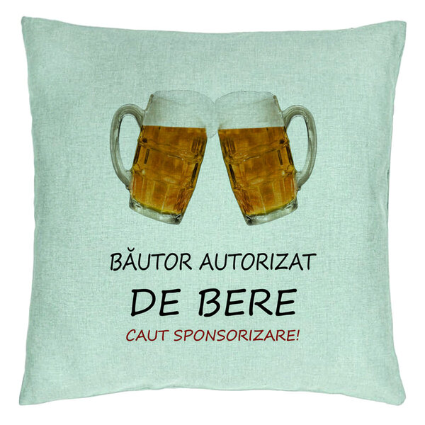Perna Decorativa, Model Bautor Autorizat de Bere, 40x40 cm, Verde Menta, Husa Detasabila, Burduf 15 Perna Decorativa