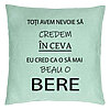 Perna Decorativa, Model Beau o Bere, 40x40 cm, Verde Menta, Husa Detasabila, Burduf 22 Perna Decorativa