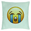 Perna Decorativa, Model Emoji Cry, 40x40 cm, Verde Menta, Husa Detasabila, Burduf 22 Perna Decorativa
